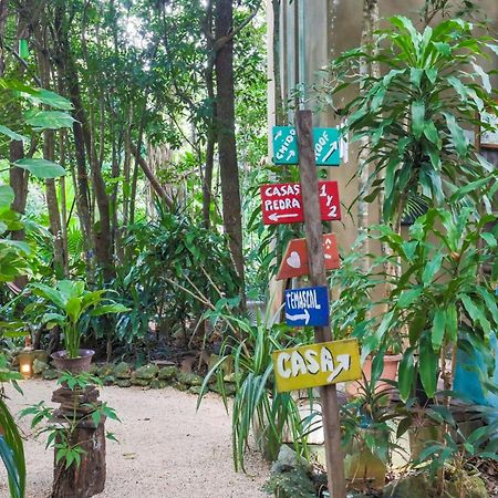Guest House La Aldea Holistic Experience Канкун Экстерьер фото