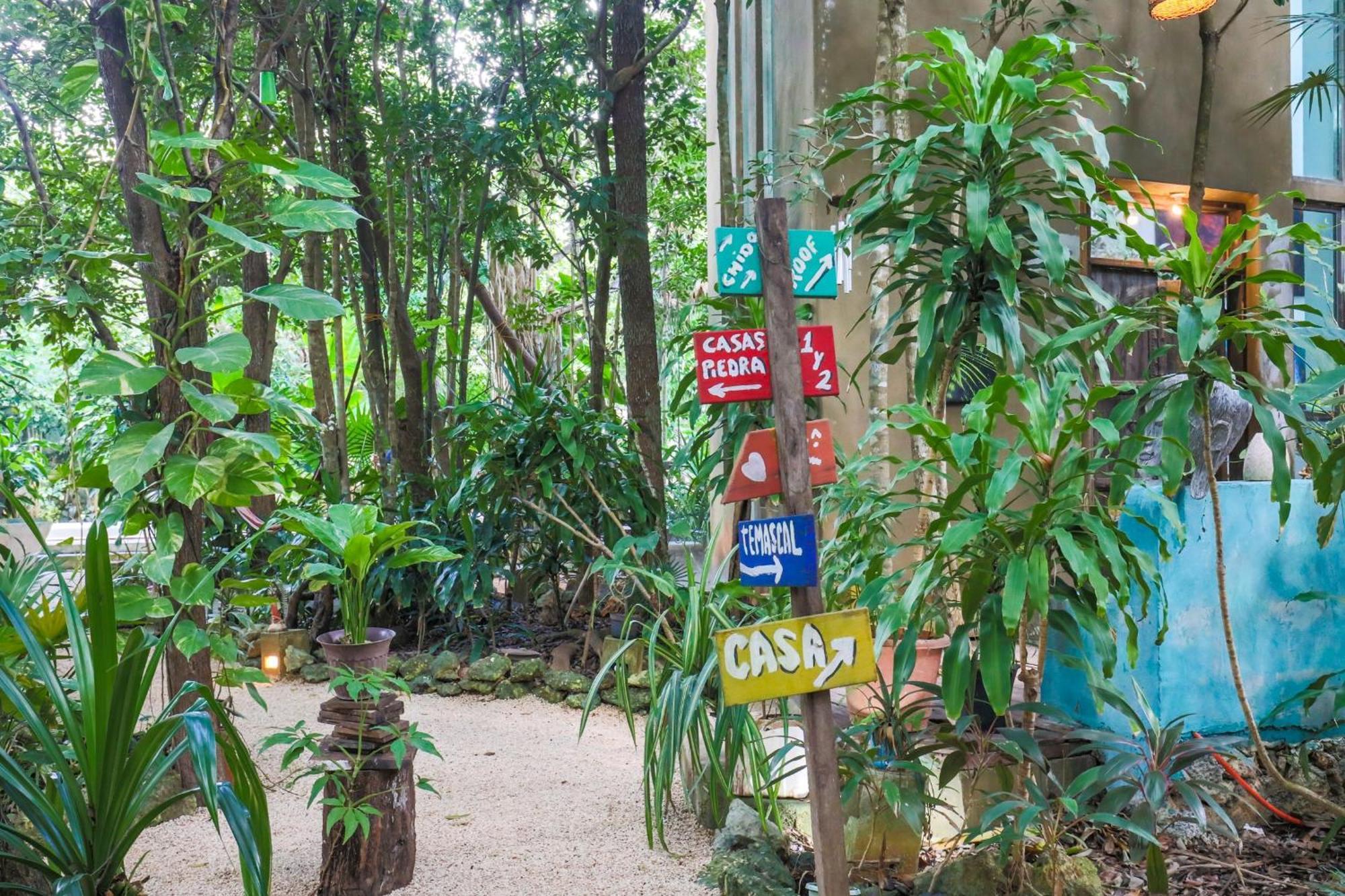 Guest House La Aldea Holistic Experience Канкун Экстерьер фото
