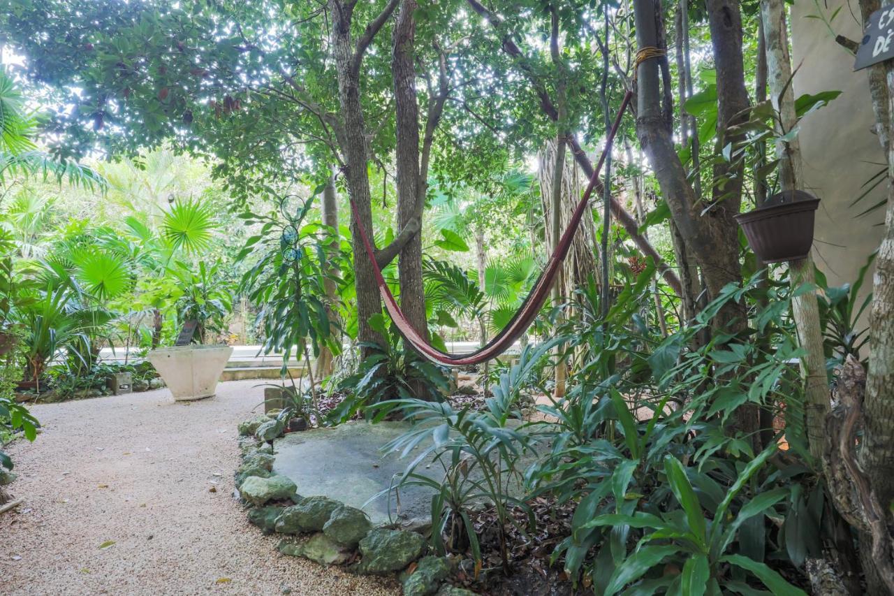 Guest House La Aldea Holistic Experience Канкун Экстерьер фото
